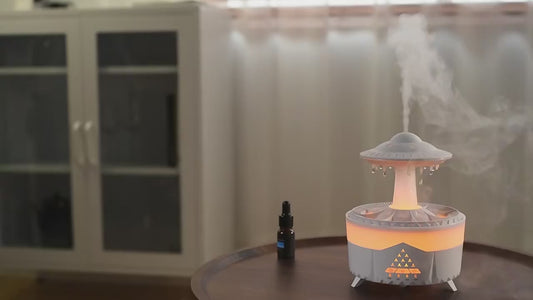 Mushroom Air Humidifier